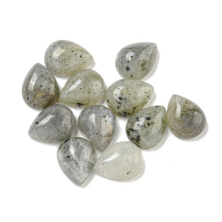 Natural Labradorite Cabochons G-Q173-02C-07-1