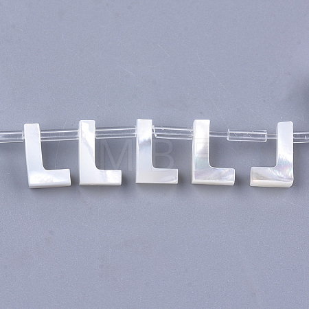 Sea Shell Beads X-SHEL-T012-60L-1
