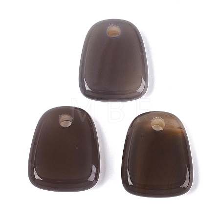 Natural Grey Agate Pendants G-N362-06A-1