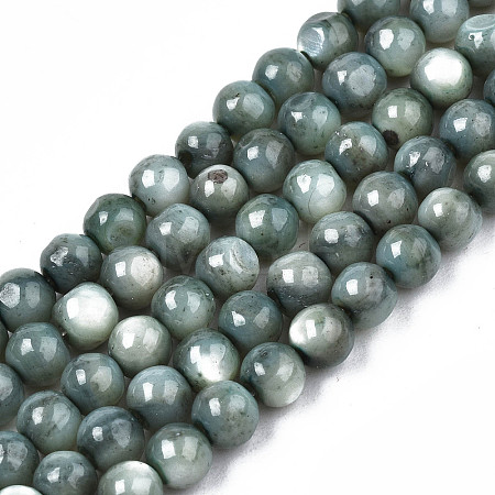 Natural Freshwater Shell Beads Strands X-SHEL-N003-24-B01-1