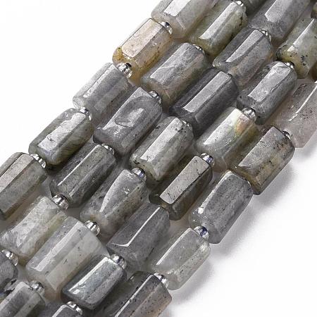 Natural Labradorite Beads Strands X-G-S345-8x11-001-1