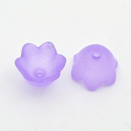 Transparent Acrylic Beads FACR-R017-01-1
