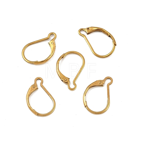 Ion Plating(IP) 304 Stainless Steel Leverback Earring Findings STAS-K233-04G-01A-1