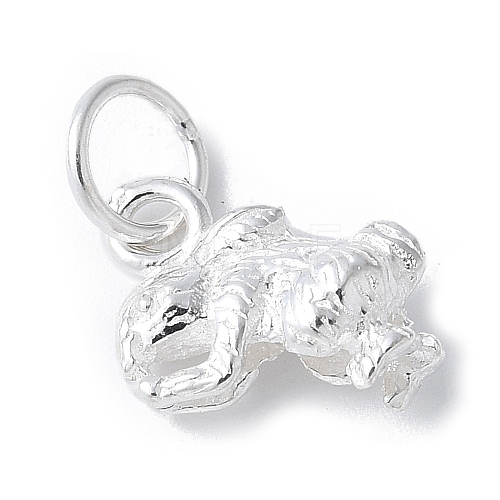 925 Sterling Silver 3D Chinese Zodiac Charms STER-P066-01S-04-1