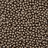 6/0 Glass Seed Beads X1-SEED-L011-08A-09-3