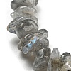Natural Labradorite Chip Beaded Stretch Bracelet LS-G-H294-01B-04-2