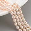 Natural Cultured Freshwater Pearl Beads Strands PEAR-P062-05A-2