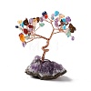 Natural Gemstone Tree Display Decoration DJEW-G027-05RG-05-2