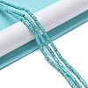 Natural Howlite Beads Strands G-E604-A02-C-4