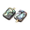 Natural Abalone Shell Pendants SH-CJC0AC7-01H-G-2