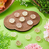 12Pcs 2 Colors Transaprent Resin Enamel Cabochons CRES-TA0001-91-5