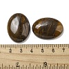 Natural Tiger Iron Cabochons G-C115-01B-28-3