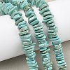 Natural Howlite Beads Strands G-A302-A01-03-1