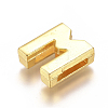 Alloy Slide Charms PALLOY-WH0069-02M-G-2