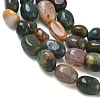 Natural Indian Agate Beads Strands G-C286-A12-3