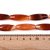 Natural Striped Agate/Banded Agate Beads Strands G-S280-10E-4