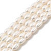 Natural Cultured Freshwater Pearl Beads Strands PEAR-I007-01P-05-2