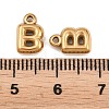 304 Stainless Steel Pendants STAS-S186-12B-G01-3