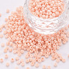 8/0 Opaque Glass Seed Beads X1-SEED-S048-N-013-1