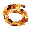 Gradient Color Natural Amber Beads Strands G-F803-E01-01-4
