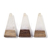 Resin & Wood Pendants WOOD-F015-03H-1