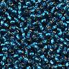 TOHO 8/0 Round Beads SEED-TR08-0023BD-2