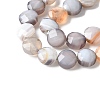 Natural Grey Botswana Agate Beads Strands G-C179-A50-03-4