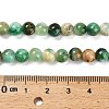 Natural Green Line Jasper  Beads Strands X-G-B128-A03-02-3