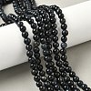 Grade B Natural Tiger Eye Beads Strands G-F591-18-6mm-03-1