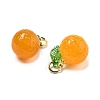 Dyed Natural Agate Orange Charms G-U025-07G-3