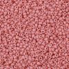 TOHO 11/0 Round Beads SEED-XTR11-0911F-2