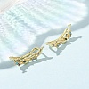 Brass Pave Cubic Zirconia Stud Crawler Earrings KK-CBAA351-20G-02-3