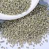 MIYUKI Delica Beads SEED-MY11-DB1831-1