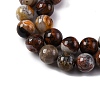 Natural Mexico Crazy Agate Beads Strands G-L615-A01-02-4