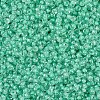 MIYUKI Round Rocailles Beads SEED-X0054-RR0219-3