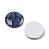 Natural Paua Shell Cabochons SSHEL-I026-20B-2