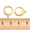 304 Stainless Steel Leverback Earring Findings X-STAS-D448-041G-3