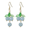 Dyed Natural Quartz Grapes Dangle Earrings EJEW-JE05689-03-1