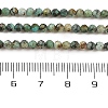 Natural African Turquoise(Jasper) Beads Strands G-P472-01-3