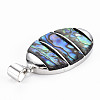 Natural Abalone Shell/Paua Shell Big Pendants SHEL-N333-009A-A01-4