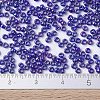 MIYUKI Round Rocailles Beads X-SEED-G007-RR0484-4