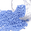 12/0 FGB Grade A Round Glass Seed Beads SEED-N001-A-1022-1