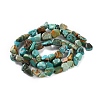 Natural Hubei Turquoise Beads Strands X-G-P497-01C-51-3