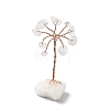 Natural Quartz Crystal  Chips Tree of Life Decorations DJEW-P022-01B-03-1