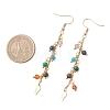 Natural Gemstone Dangle Earrings EJEW-JE06668-01-4
