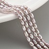 Natural Cultured Freshwater Pearl Beads Strands PEAR-P062-02B-2