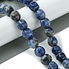 Natural Blue Spot Jasper Beads Strands G-H023-A07-01-2