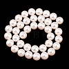 Electroplated Shell Pearl Beads Strands BSHE-C011-01C-2