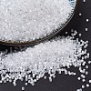 MIYUKI Delica Beads X-SEED-J020-DB0670-1