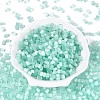 Drawbench Style Glass Seed Beads SEED-N008-10H-2